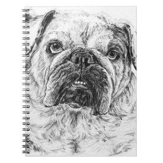 Caderno Espiral DIVA Lilybug