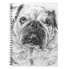 Caderno Espiral DIVA Lilybug