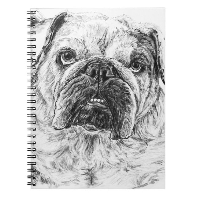 Caderno Espiral DIVA Lilybug (Frente)