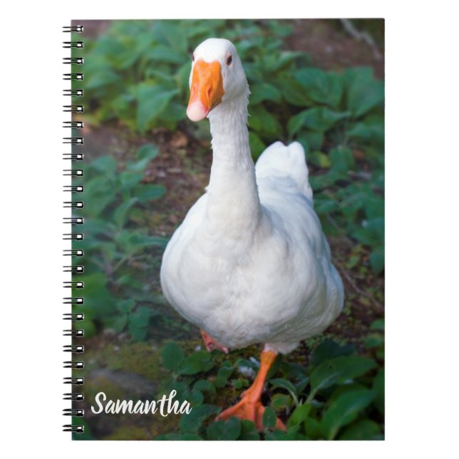 Caderno espiral do ganso (Frente)