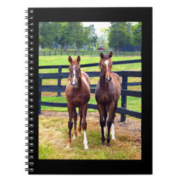 Caderno Espiral Dois Amigos