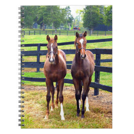 Caderno Espiral Dois Amigos