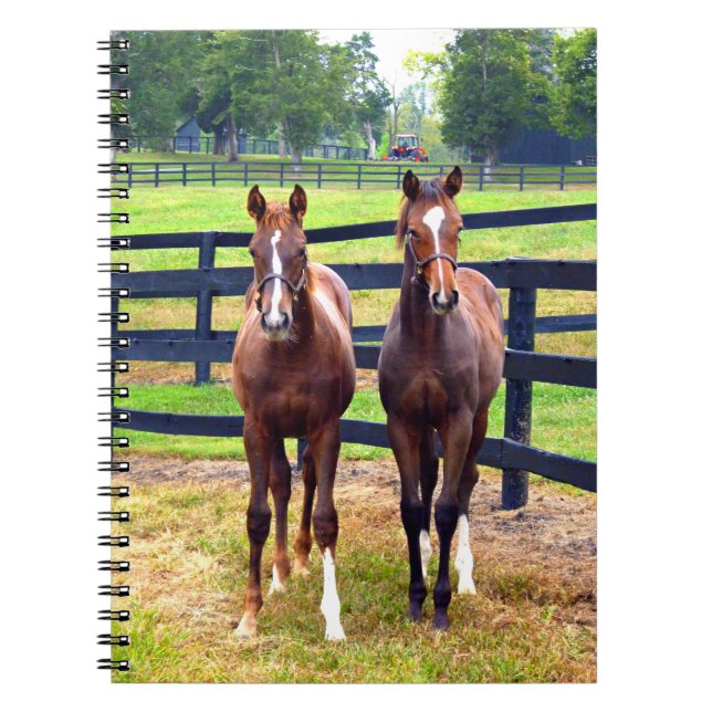 Caderno Espiral Dois Amigos (Frente)