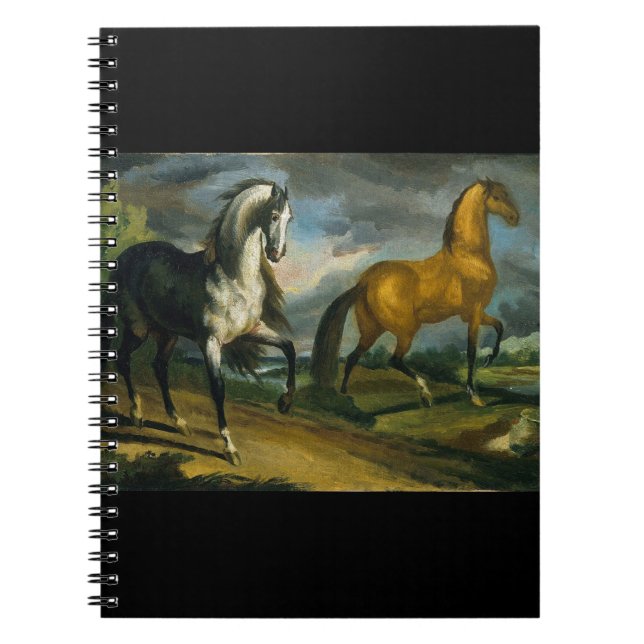 Caderno Espiral Dois Cavalos 1808 (Frente)
