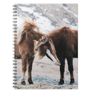 CADERNO ESPIRAL DOIS CAVALOS MARAVILHADOS NO CAMPO
