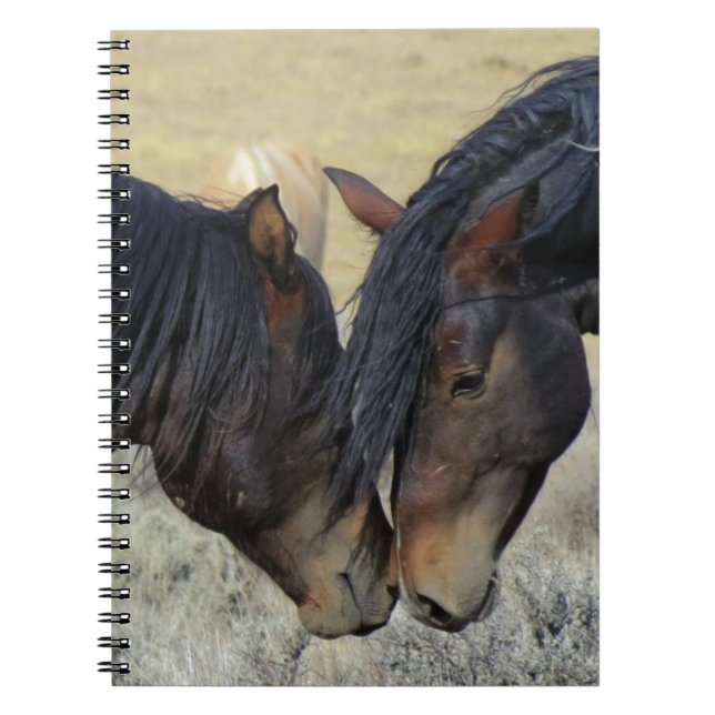 Caderno Espiral Dois cavalos selvagens de Brown que Nuzzling (Frente)
