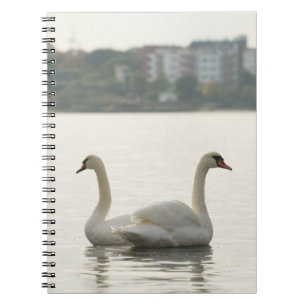 Caderno Espiral Dois cisnes