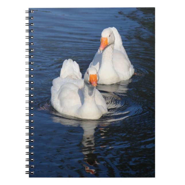 Caderno Espiral Dois Emden Geese II (Frente)