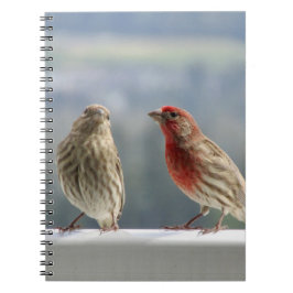 Caderno Espiral Dois Finches Flertando.