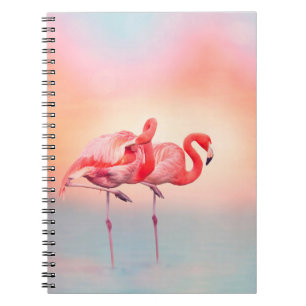 Caderno Espiral Dois flamingos cor-de-rosa na água do sunsetflamin