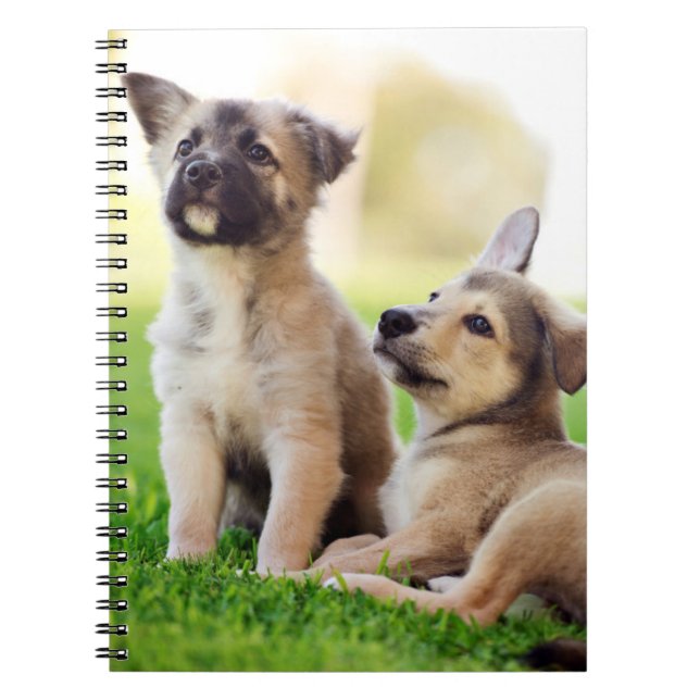 Caderno Espiral Dois German shepherd (Frente)