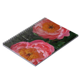 Caderno Espiral Dois Lindos Peões Rosa