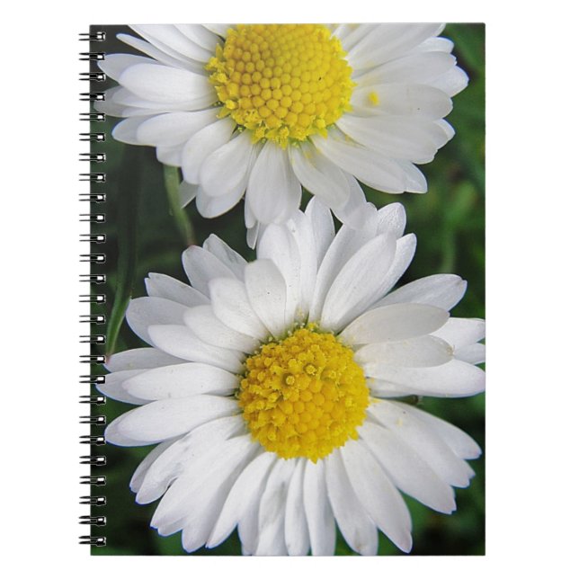 Caderno Espiral Dois notebooks brancos e bonitos (Frente)