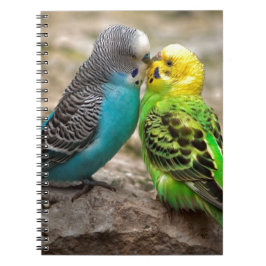 Caderno Espiral Dois Parakeets