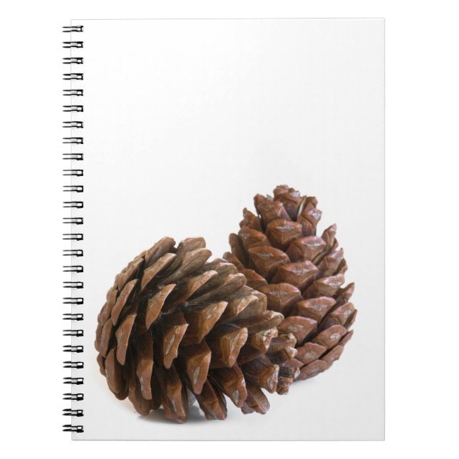 Caderno Espiral Dois pinos (Frente)