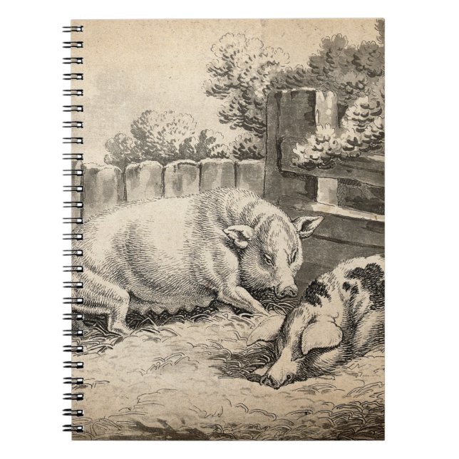 Caderno Espiral Dois porcos deitados com palha numa Caneta ao ar l (Frente)