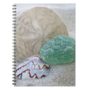 Caderno Espiral Dólar de areia, concha e vidro marinho - notebook