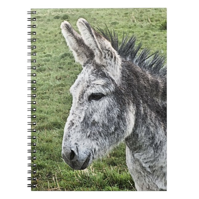 CADERNO ESPIRAL DONKEY (Frente)