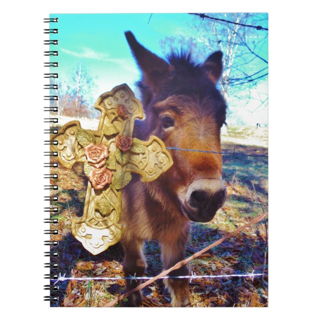 Caderno Espiral Donkey com Rosa Cross (Frente)