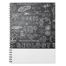 Doodle da ciência da biologia no quadro cinzento