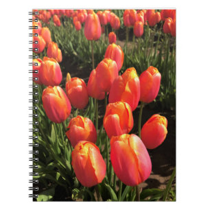 Caderno Espiral Dordogne Tulips, Oregon