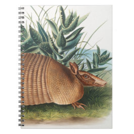 Caderno Espiral Dourado Beige Nine-band Armadillo