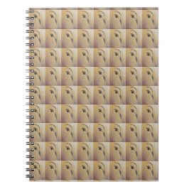 Caderno Espiral Dove Love