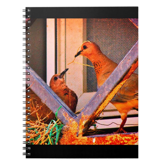 Caderno Espiral Dove Romance (Frente)