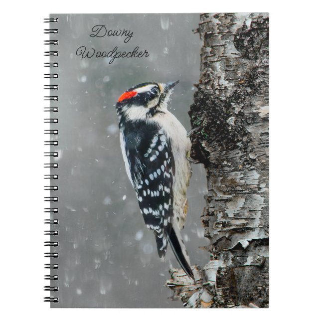 Caderno Espiral Downy Woodpecker em Neve - Foto Original (Frente)