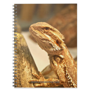 Caderno Espiral Dragão farpado