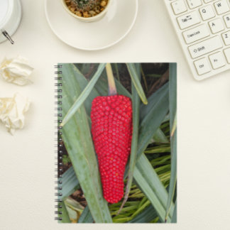 Caderno Espiral Dragão Lily Red Seed Head