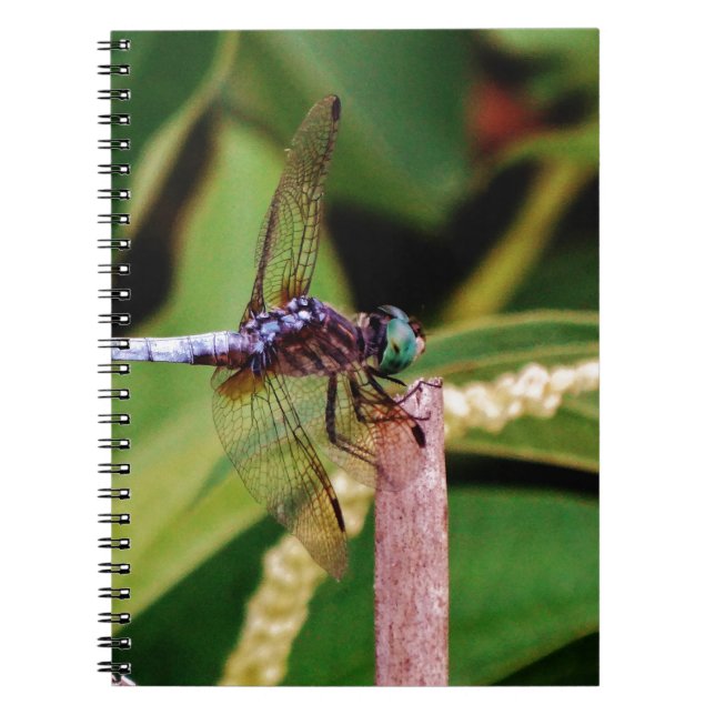 Caderno Espiral Dragonfly com flores brancas (Frente)
