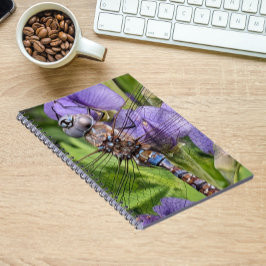Caderno Espiral Dragonfly Darner de olhos azuis na Flor