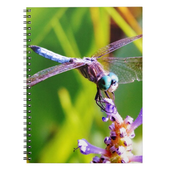 Caderno Espiral Dragonfly Teal & Purple (Frente)