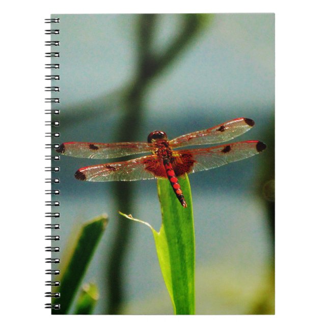 Caderno Espiral Dragonfly Vermelha e Negra (Frente)