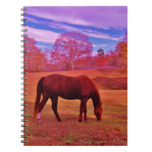 CADERNO ESPIRAL DSCF0536.JPG