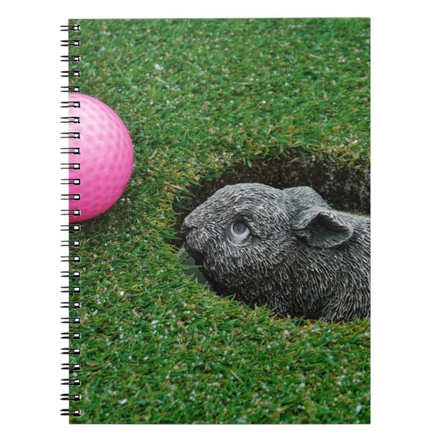 CADERNO ESPIRAL DSCF0652.JPG (Frente)