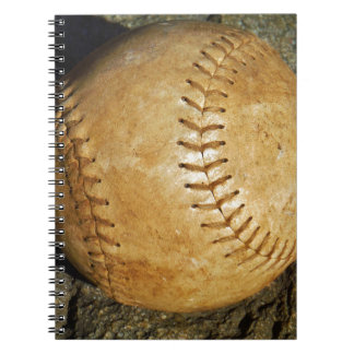 CADERNO ESPIRAL DSCF7523.JPG