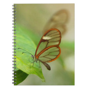 Caderno Espiral Duas borboletas aladas de vidro
