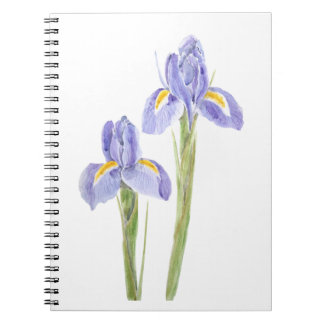 Caderno Espiral duas elegante cor d'água da íris roxa 2021
