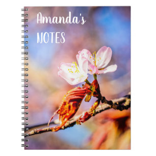 Caderno Espiral Duas Incríveis Flores Sakura. Fundo Cor-de-rosa,