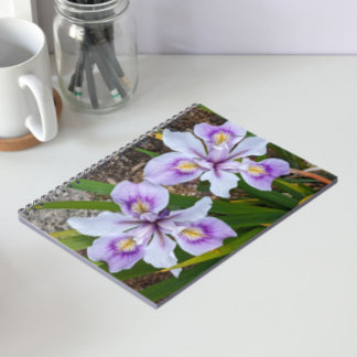 Caderno Espiral Duas Irritações Sem Maçã Roxo Floral