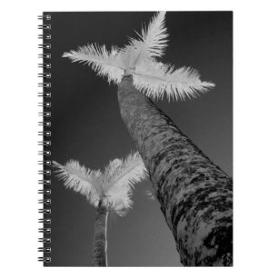 Caderno Espiral Duas palmeiras infravermelhas.