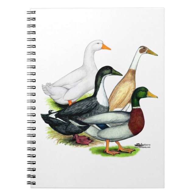 Caderno Espiral Duck Quartet (Frente)