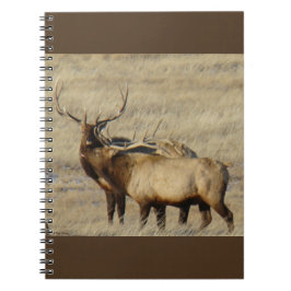 Caderno Espiral E24 Alce Macho