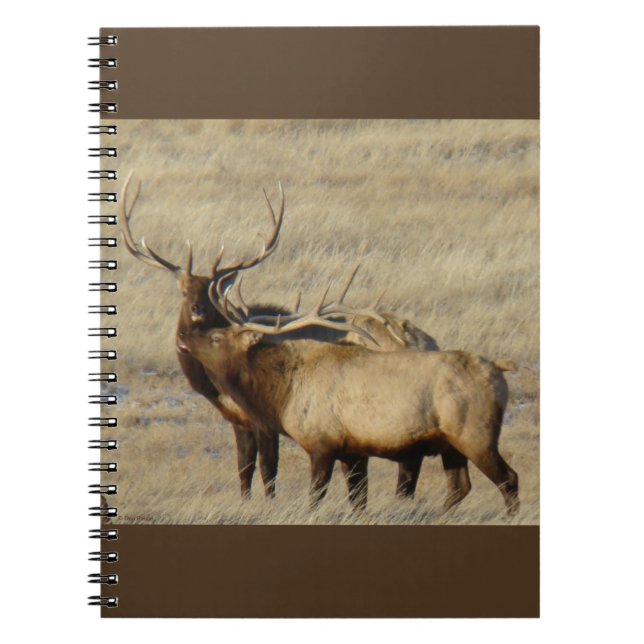 Caderno Espiral E24 Touro Elk (Frente)