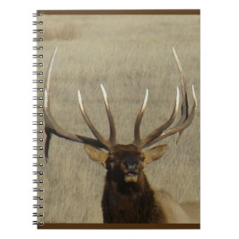 Caderno Espiral E29 Tiro na cabeça do Elk Bull