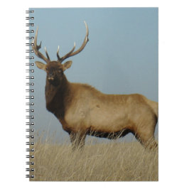 Caderno Espiral E43 Bull Elk Sky Lined