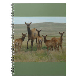 Caderno Espiral E44 Alce Fêmea e Filhotes