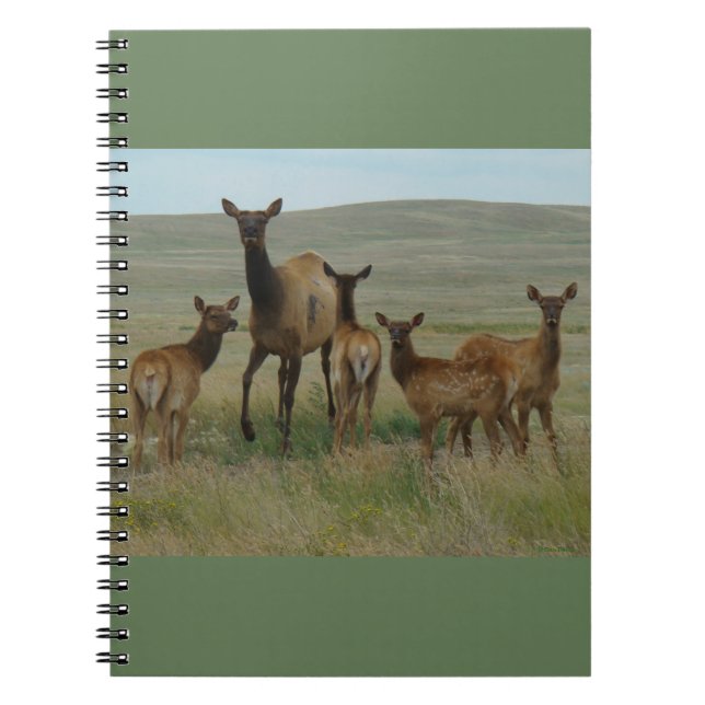 Caderno Espiral E44 Alce Fêmea e Filhotes (Frente)